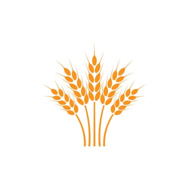 Buğday kulakları. Logo. İzole edilmiş beyaz arkaplanda resimler.