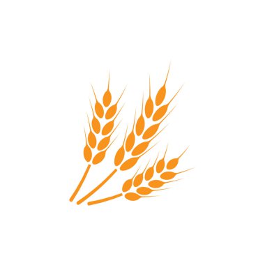 Buğday kulakları. Logo. İzole edilmiş beyaz arkaplanda resimler.