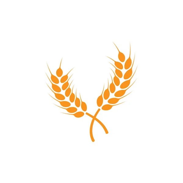 Uszy Pszenicy Logo Ilustracja Białym Pojedynczym Tle — Zdjęcie stockowe