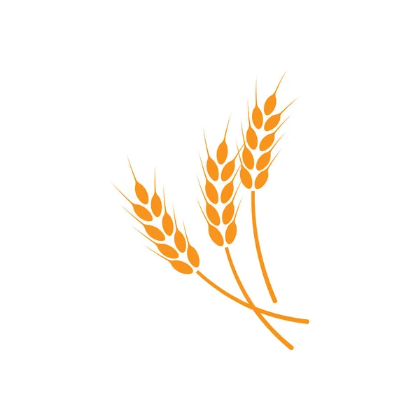 Orelhas Trigo Logotipo Ilustração Sobre Fundo Isolado Branco — Fotografia de Stock