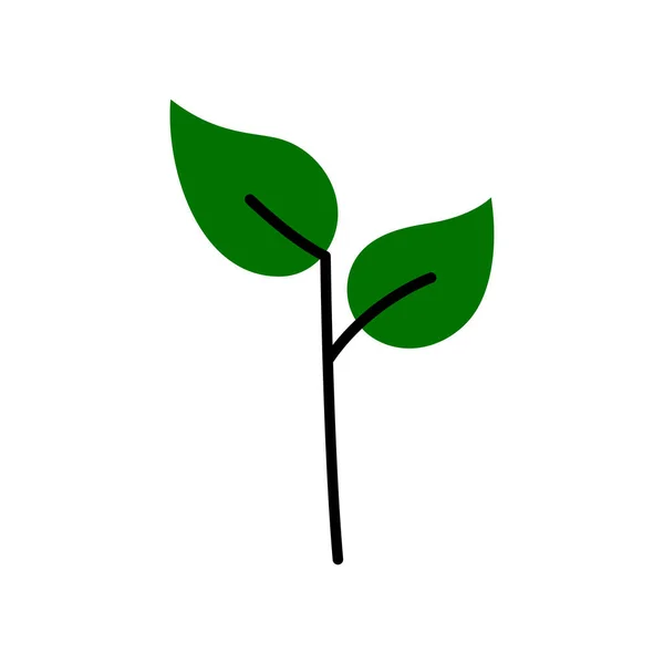 Eco Folhas Logotipo Ícone Modelo Elementos Design Fundo Isolado Branco — Fotografia de Stock