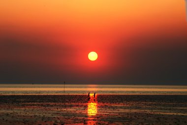 güzel manzara sahne