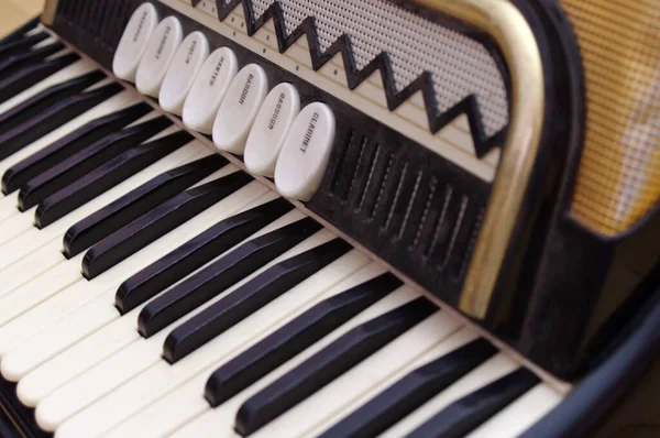Vintage Harmonika Billentyűk Gombok Közelsége — Stock Fotó