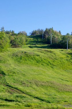 Mavi gökyüzü, ağaçlar ve yaz güneşinde fotokopi alanı olan yeşil çimenli tepe. 