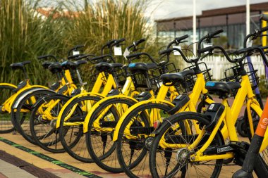 Kiralık bisikletlerin park yeri, sarı. Ücret karşılığında spor ve açık hava aktiviteleri için ekipman.