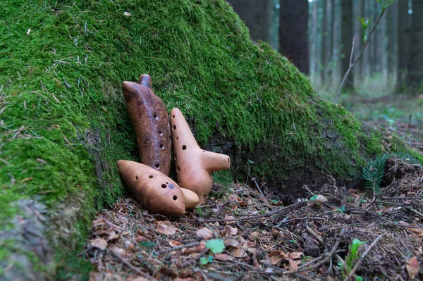 Três Ocarinas Instrumentos Sopro Musicais Cerâmicos Uma Floresta Primavera Musgoso — Fotografia de Stock