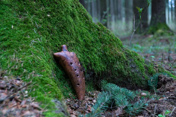 Argila Ocarina Instrumento Musical Vento Encostado Musgo Uma Árvore Perto — Fotografia de Stock
