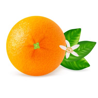 Orange fruit with leaves isolated on white background.  clipart