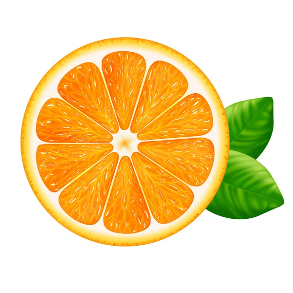 Oranje fruit met bladeren geïsoleerd op witte achtergrond. — Stockvector