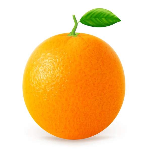 Fruto naranja con hojas aisladas sobre fondo blanco. — Vector de stock