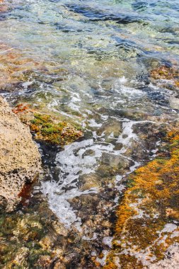 Taş kıyıya yakın çekim. Mallorca adasında temiz deniz suyu.