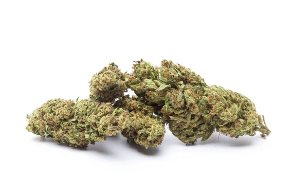 Beyaz arka planda izole edilmiş marihuana çiçekleri. Esrar fabrikaları kapanır..