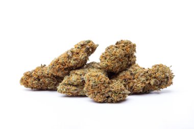 Beyaz arka planda izole edilmiş marihuana çiçekleri. Kenevir fabrikasını kapatın..