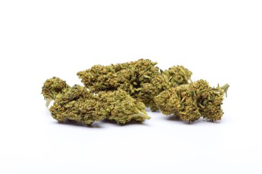 Beyaz arka planda izole edilmiş marihuana çiçekleri. Kenevir fabrikasını kapatın..