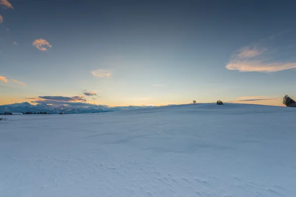 Tramonto umore a prato di neve con cielo incandescente in inverno — Foto Stock