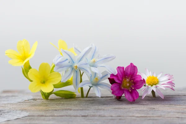 Bunte frische Frühlingsblumen auf Holz und weißem Hintergrund — Stockfoto