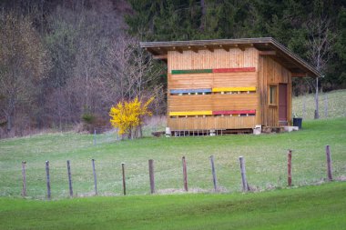 ahşap beehouse orman yanındaki çayırda