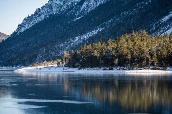 Güneşle Aydınlatılan Bir Çift Ağaç Kışın Göl Planöründe — Stok fotoğraf
