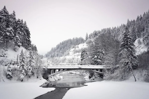 Oude Historische Brug Ulrichsbruecke Rivier Lek Musau Besneeuwde Winter — Stockfoto