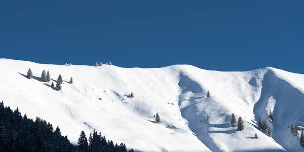 Crête Montagne Couverte Neige Avec Des Arbres Simples Par Une — Photo