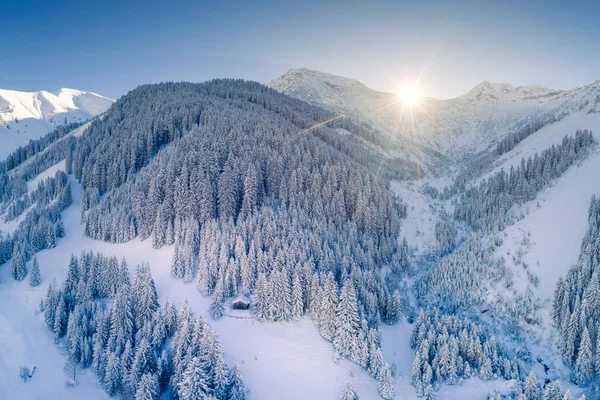 Lonely Single Hut Forest Clearing Snowy Austrian Mountains Winter Sunbeams — Stock Photo, Image