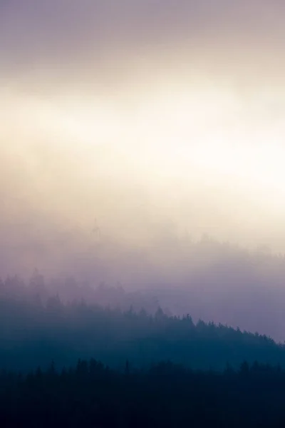 垂直图像 有四个漫无边际的对比度 雾蒙蒙的森林山景 — 图库照片