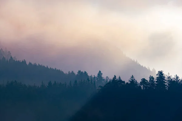 Sun Rays Streak Three Levels Misty Mountain Forests Autumn — Stock Photo, Image