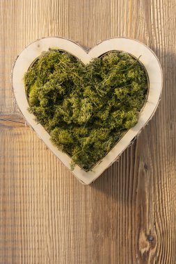 Eski ahşap zemin üzerinde geleneksel kalp ve menü örtüsü için yeşil yosun doldurma