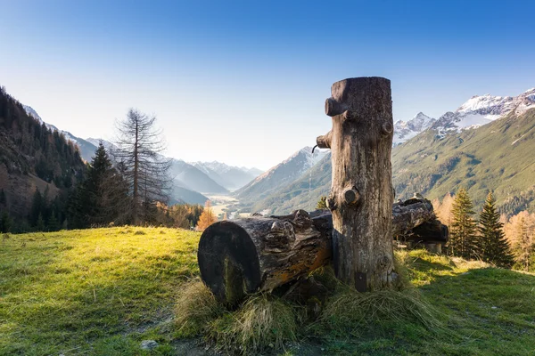 Wooden water fountain for cows with fall valley in alps — Stock Photo, Image