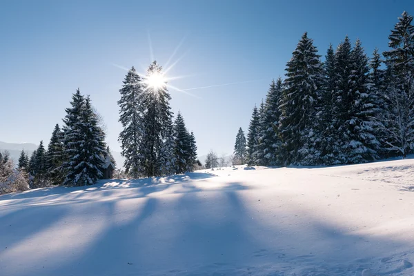 Idilliaco paesaggio nevoso invernale con foresta e raggi di sole attraverso l'albero — Foto Stock