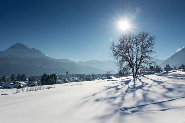 Árvore única na paisagem de neve com sombra longa em alpes — Fotografia de Stock