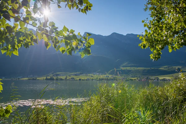 Lake landscape with sun over mountains shining through tree — Stock Photo, Image