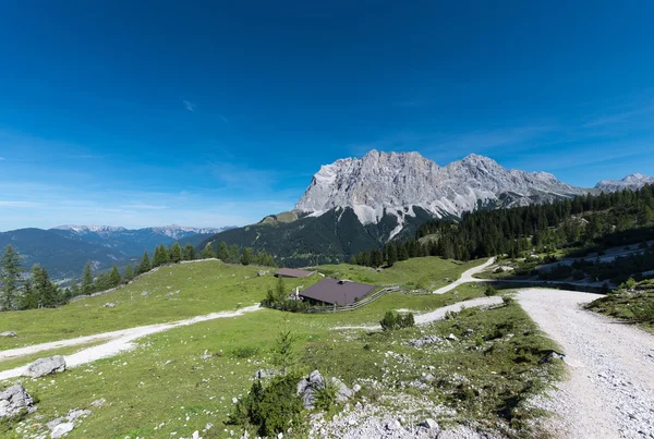 Paesaggio chalet alpino con prato verde ed enorme montagna — Foto Stock