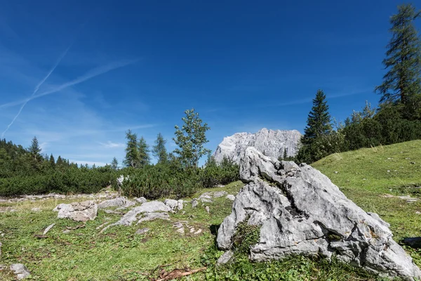 Roccia sul prato di montagna al giorno d'autunno nelle Alpi austriache — Foto Stock