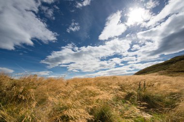 dağ çayır, Avusturya Alplerinde fırtınalı hava durumu
