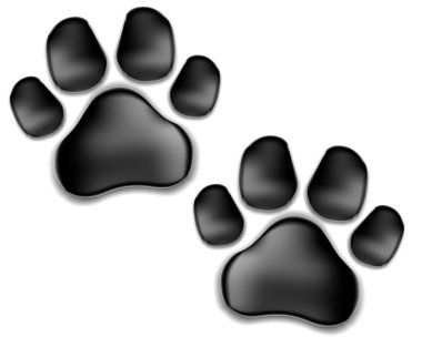 yastıkları bir kedi. bir yavru kedi izleri