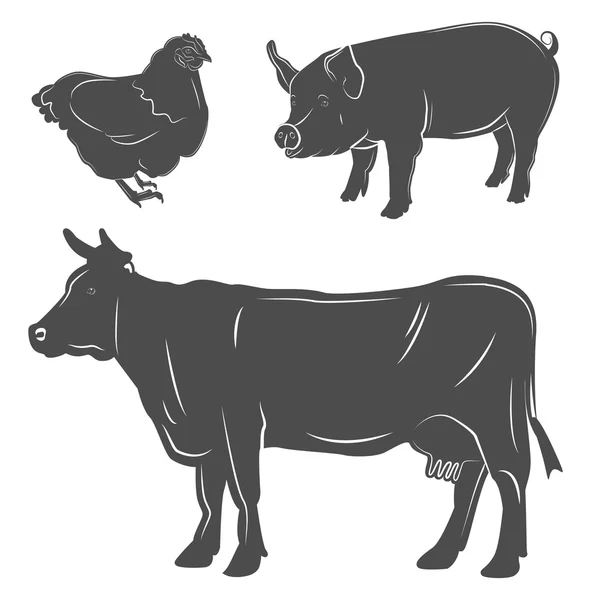 Farm animals. chicken, pig, cow. — Stock Vector