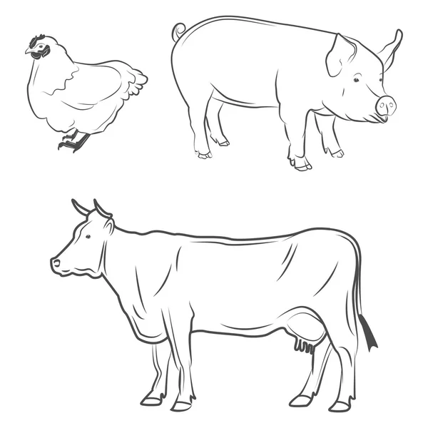 Animales de granja. pollo, cerdo, vaca . — Archivo Imágenes Vectoriales