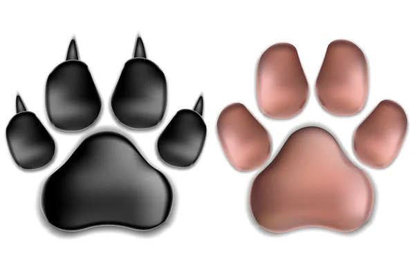 Almohadillas negras y rosas de un gato con garras. Aislado en respaldo blanco — Vector de stock