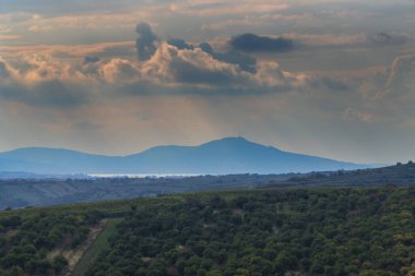 Üzüm bağlarının ve ağaçların olduğu manzara. Arka planda Çek Cumhuriyeti 'nde Palava ve Devin Hill' i görebilirsiniz. Gökyüzünde dramatik bulutlar var..