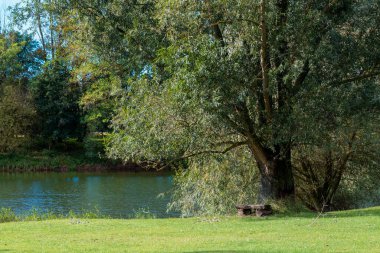 Nehrin kıyısındaki bir ağacın altında. Arka planda mavi gökyüzü var