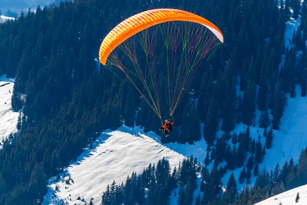 Zell am See bölgesinde Avusturya dağlarında planör uçuran bir adamın silüeti. Adamın altında karlı bir vadi ve orman var..