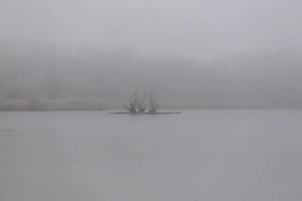 Vogelinsel Der Mitte Des Teiches Und Liegt Nebel Herum — Stockfoto