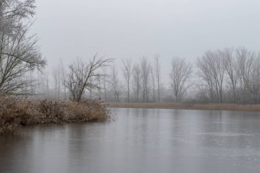 Donmuş kış göleti. Etrafta ağaçlar ve sazlıklar var. Gölün üzerinde karanlık bir gökyüzü ve sis var..