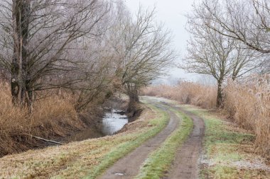 Küçük bir derenin yanında toprak bir yol. Yol ve akarsu boyunca buzlu ağaçlar ve çalılar var..