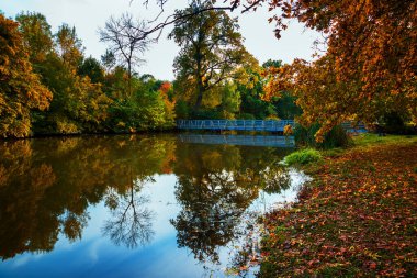 Deniz kenarındaki manzara. Çek Cumhuriyeti 'ndeki Ceneviz Şatosu yakınlarındaki Stara Dyje nehri üzerindeki köprü. Ağaçlar nehirde yansır.