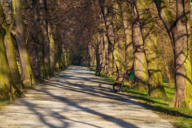 Parktaki bankların olduğu patikada. Yolun etrafında ağaçlar var..
