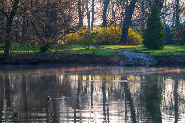 Zahradní Park Lavičkou Kolem Řeky Stromy Osvícené Sluncem Mlhou Tekoucí — Stock fotografie