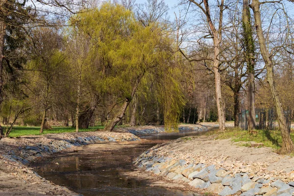 Künstliches Flussbett Bäume Wachsen Rund Das Wasser Und Gibt Einen — Stockfoto