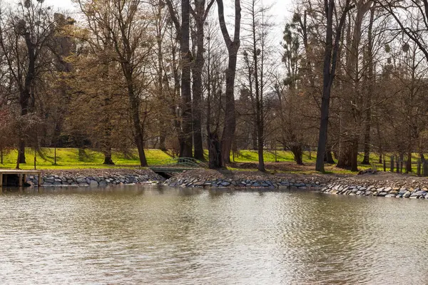 Ruhige Oberfläche Des Teiches Hintergrund Ein Park Und Eine Metallbrücke — Stockfoto